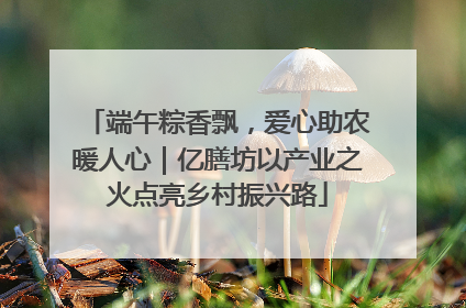 端午粽香飘，爱心助农暖人心｜亿膳坊以产业之火点亮乡村振兴路