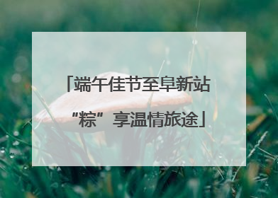 端午佳节至阜新站“粽”享温情旅途