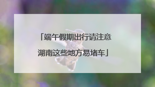 端午假期出行请注意 湖南这些地方易堵车