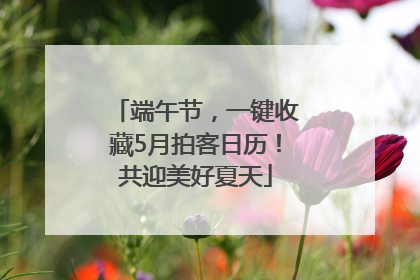 端午节，一键收藏5月拍客日历！共迎美好夏天