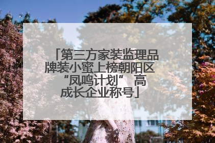 第三方家装监理品牌装小蜜上榜朝阳区 “凤鸣计划” 高成长企业称号