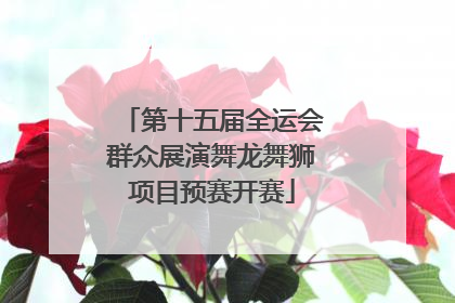 第十五届全运会群众展演舞龙舞狮项目预赛开赛