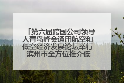 第六届跨国公司领导人青岛峰会通用航空和低空经济发展论坛举行 滨州市全方位推介低空经济发展优势