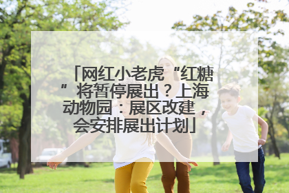 网红小老虎“红糖”将暂停展出？上海动物园：展区改建，会安排展出计划
