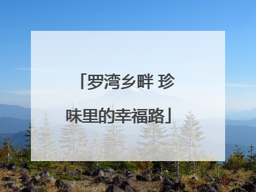 罗湾乡畔 珍味里的幸福路