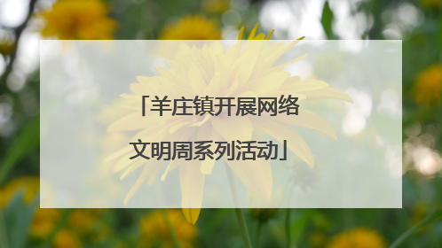 羊庄镇开展网络文明周系列活动