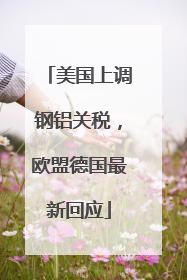 美国上调钢铝关税，欧盟德国最新回应