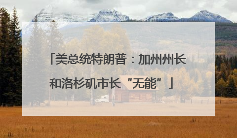 美总统特朗普：加州州长和洛杉矶市长“无能”