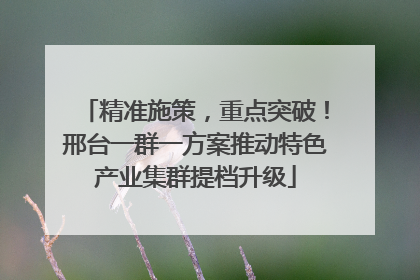 精准施策，重点突破！邢台一群一方案推动特色产业集群提档升级