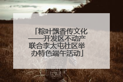 粽叶飘香传文化——开发区不动产联合李太屯社区举办特色端午活动