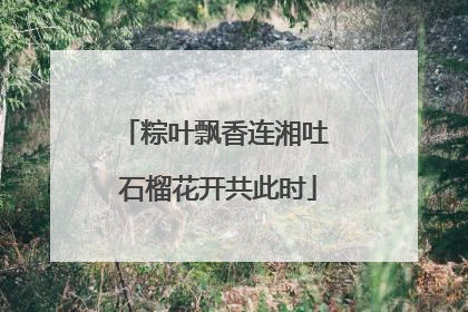 粽叶飘香连湘吐 石榴花开共此时