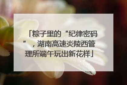 粽子里的“纪律密码”，湖南高速炎陵西管理所端午玩出新花样