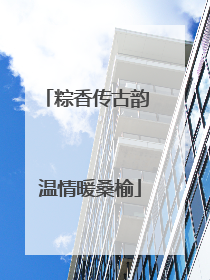粽香传古韵 温情暖桑榆