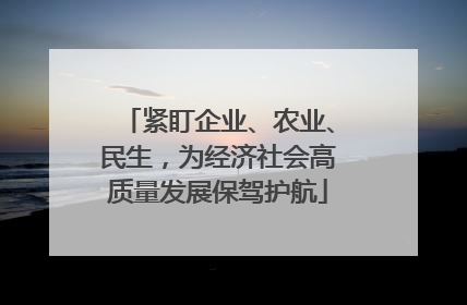 紧盯企业、农业、民生，为经济社会高质量发展保驾护航