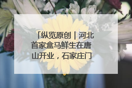 纵览原创｜河北首家盒马鲜生在唐山开业，石家庄门店预计8月开业
