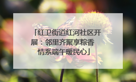 红卫街道红河社区开展：邻里齐聚享粽香 情系端午暖民心
