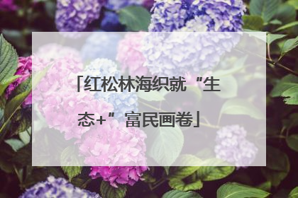 红松林海织就“生态+”富民画卷