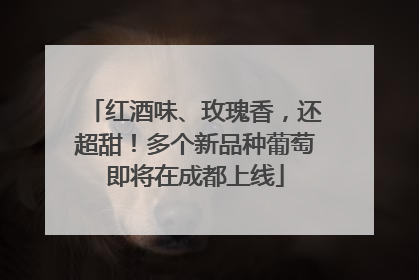 红酒味、玫瑰香，还超甜！多个新品种葡萄即将在成都上线