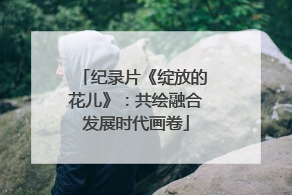 纪录片《绽放的花儿》：共绘融合发展时代画卷