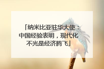 纳米比亚驻华大使：中国经验表明，现代化不光是经济腾飞