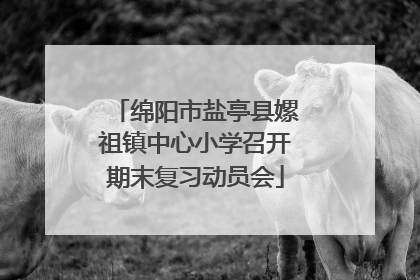 绵阳市盐亭县嫘祖镇中心小学召开期末复习动员会
