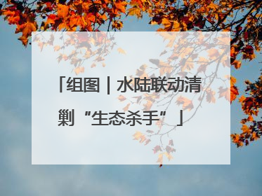 组图｜水陆联动清剿“生态杀手”