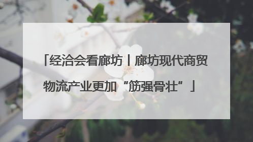 经洽会看廊坊丨廊坊现代商贸物流产业更加“筋强骨壮”
