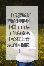 俄罗斯新西伯利亚州中国（山东）信息商务中心在上合示范区揭牌