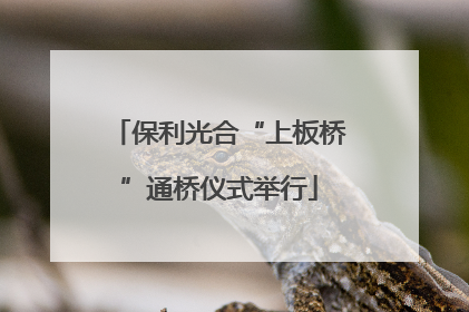 保利光合“上板桥”通桥仪式举行