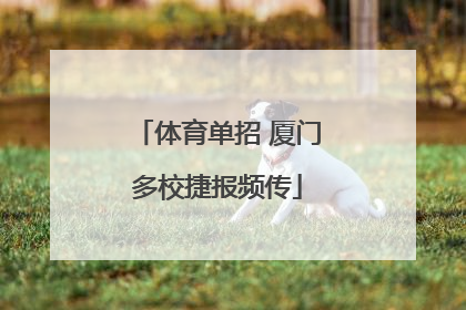 体育单招 厦门多校捷报频传