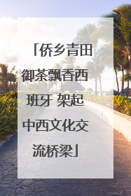 侨乡青田御茶飘香西班牙 架起中西文化交流桥梁