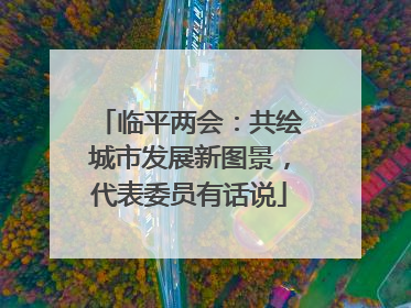 临平两会：共绘城市发展新图景，代表委员有话说