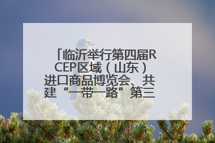 临沂举行第四届RCEP区域（山东）进口商品博览会、共建“一带一路”第三届临沂商城国际采购商大会新闻发布会
