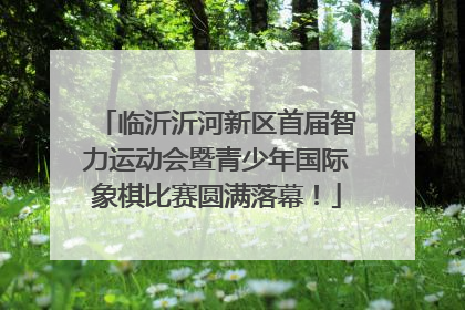 临沂沂河新区首届智力运动会暨青少年国际象棋比赛圆满落幕！