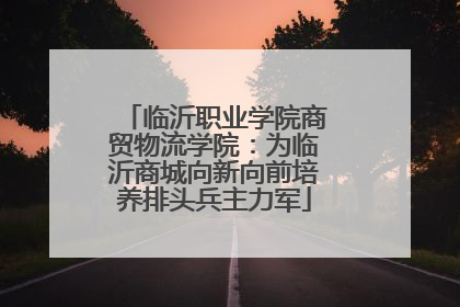 临沂职业学院商贸物流学院：为临沂商城向新向前培养排头兵主力军