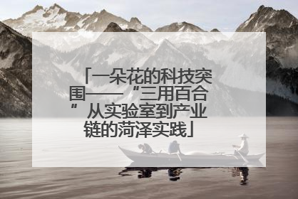 一朵花的科技突围——“三用百合”从实验室到产业链的菏泽实践
