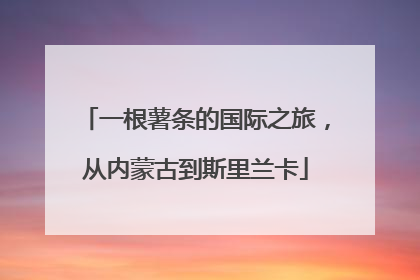 一根薯条的国际之旅，从内蒙古到斯里兰卡