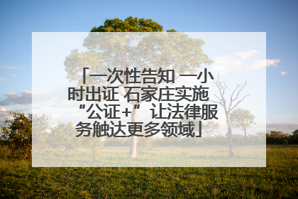 一次性告知 一小时出证 石家庄实施“公证+”让法律服务触达更多领域