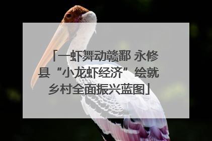 一虾舞动赣鄱 永修县“小龙虾经济”绘就乡村全面振兴蓝图