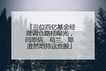 三位百亿基金经理调仓路径曝光，闫思倩、葛兰、郑澄然增持这些股