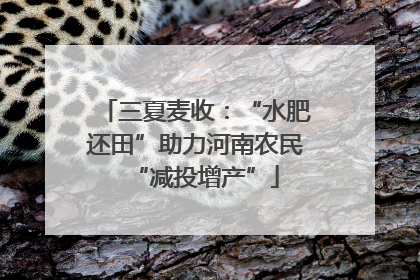 三夏麦收：“水肥还田”助力河南农民“减投增产”