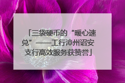 三袋硬币的“暖心速兑”——工行漳州诏安支行高效服务获赞誉