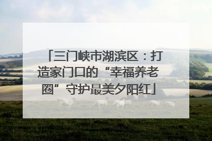 三门峡市湖滨区：打造家门口的“幸福养老圈”守护最美夕阳红