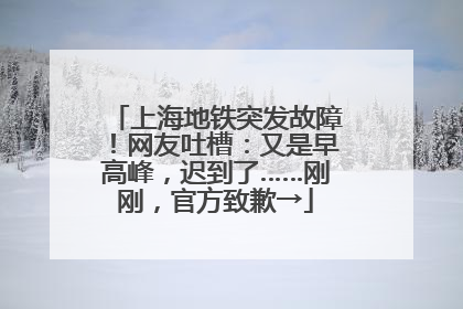 上海地铁突发故障！网友吐槽：又是早高峰，迟到了……刚刚，官方致歉→