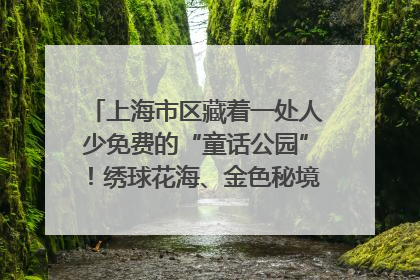 上海市区藏着一处人少免费的“童话公园”！绣球花海、金色秘境……地铁直达→