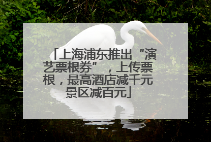 上海浦东推出“演艺票根券”，上传票根，最高酒店减千元景区减百元
