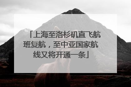上海至洛杉矶直飞航班复航，至中亚国家航线又将开通一条