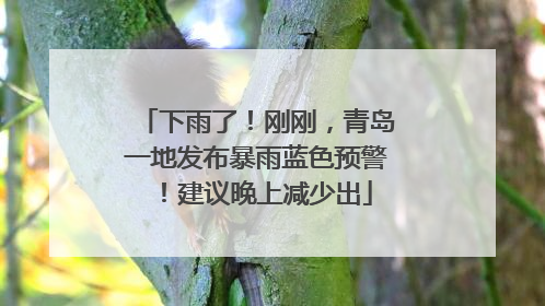下雨了！刚刚，青岛一地发布暴雨蓝色预警！建议晚上减少出