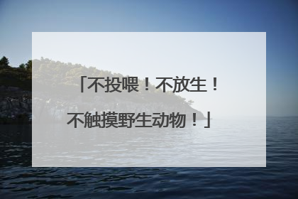 不投喂！不放生！不触摸野生动物！