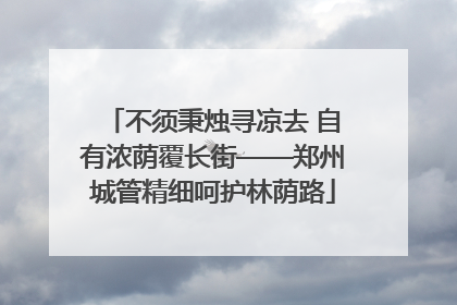 不须秉烛寻凉去 自有浓荫覆长街——郑州城管精细呵护林荫路